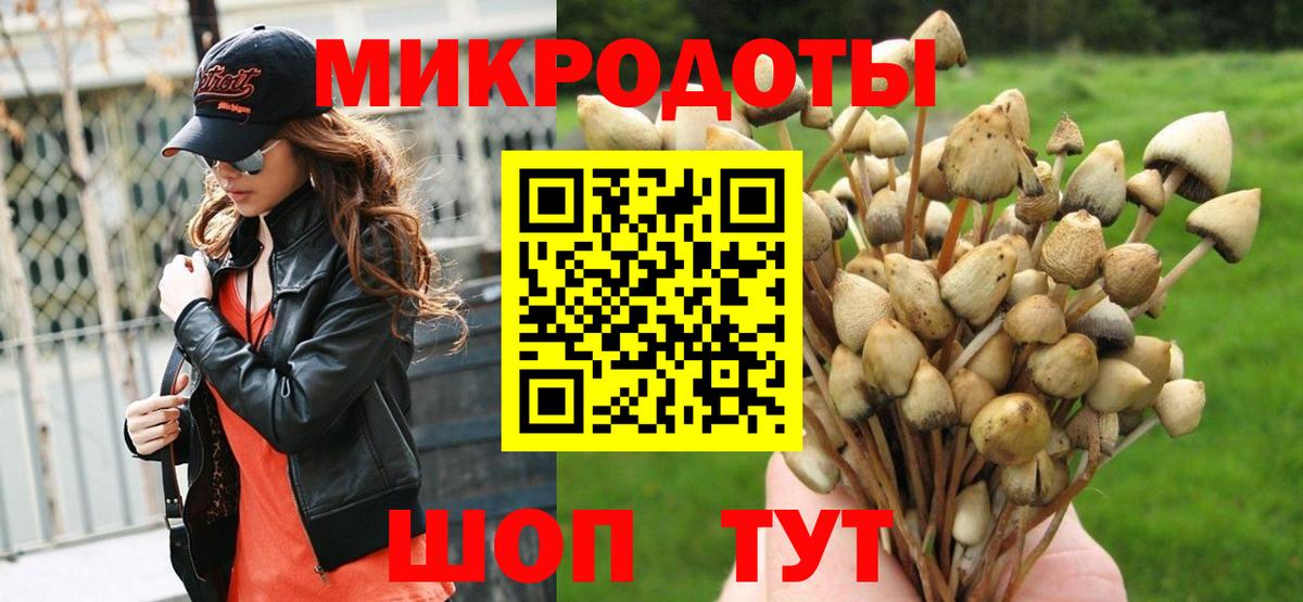 Новокубанск  Псилоцибиновые грибы Cubensis  Вход с VPN  Галлюциногенные грибы Psilocybine cubensis 